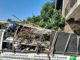 Best Construction Debris Removal  in Dasher, GA